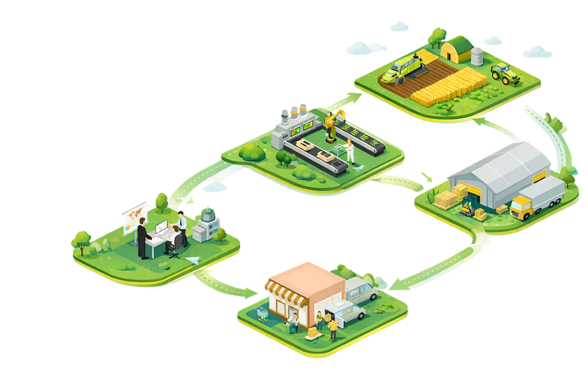 Supply Chain Network